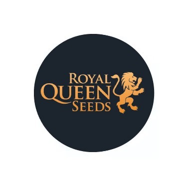 Semillas Feminizadas Royal Queen Seeds